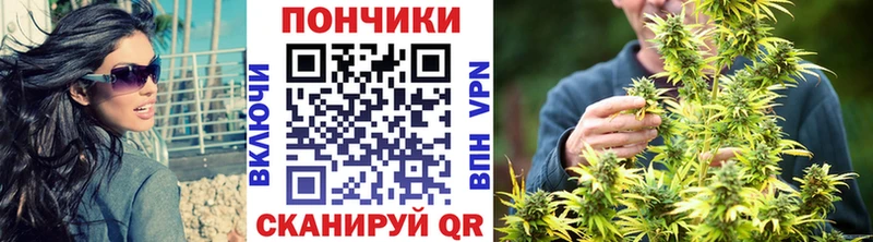 Конопля VHQ  закладка  Озёры 